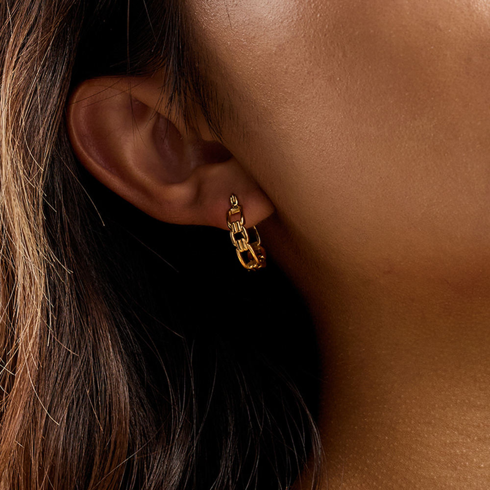 Luna Link Hoop Earrings